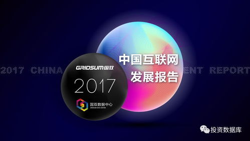 国双数据中心《2017年中国互联网发展报告》 互联网数据服务崛起与变革
